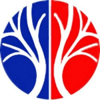 Vascular / Endovascular